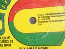Fly Away Home-Pablo Gad