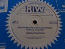MAD PROFESSOR & THE SANE INMATES FEAT. SHALOMA GOOD VIBRATONS – ARIWA 12