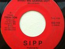 Rare Modern Soul 45 Sipp-What We Gonna Do?  LISTEN