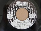 Garage Psych 45, Wild Boys, Madness Reigns, Ultra-Rare, HEAR MP3 Detroit?