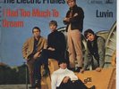 ELECTRIC PRUNES     I had too much to Dream