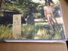 ARIEL PINK AND THE HAUNTED GRAFITTI doldrums LP ORIGINAL r stevie moore