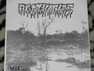 AGATHOCLES/PUTRID OFFALS 7
