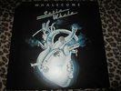 SATIN WHALE - WHALECOME - 2er LP FOC P1978 NOVA 6.28449
