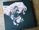 Pixies 'Death To The Pixies' 4 x 10