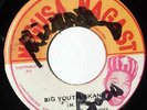 SOUL SYNDICATES Reggae Funk 45rpm Negusa Nagast #2007 LISTEN