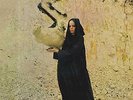 BLUE HORIZON | Fleetwood Mac - The Pious Bird Of Good Omen LP