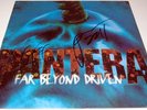 PANTERA Far Beyond Driven, VINYL LP Phil Anselmo Rex Brown Down Autograph SIGNED