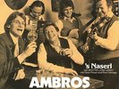 Wolfgang Ambros/ Fendrich - 's Naserl - mei Naserl is so rot - 7''  - Austropop