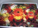 band of skulls record rare  large  poster baby doll face honey
