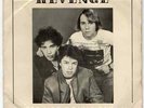 THE REVENGE - 