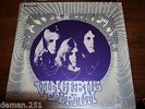 Blue Cheer , 1968 original Vincebus Eruptum PHS 600 264