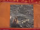 HANS-JOACHIM ROEDELIUS - Durch Die Wüste LP ORIGINAL Sky Records RAR