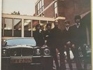 LP THE FLAMIN' GROOVIES shake some action