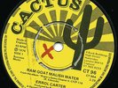 ERROL CARTER   RAM GOAT MALISH WATER   MID 70S HEAVYWEIGHT ROOTS LISTEN