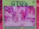 GTO's Permanent Damage VINYL LP RECORD w/ Insert RARE w/ Frank Zappa