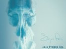 Sigur Ros - Vinyl Box Set - In A Frozen Sea