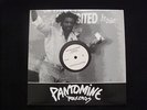 SOUTH EAST MUSIC / LIMITED EDITION  10 in   SYLFORD WALKER   /  GLEN BROWN