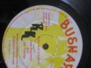 Bushays - Ruby And Diamond - Dave And Robinson And Jah Thomas (12