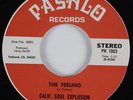 Funk 45 CALIF. SOUL EXPLOSION The Feeling PASHLO HEAR NM