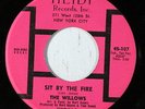 WILLOWS: Sit By The Fire / Such A Night 45 Soul