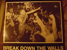 Youth of Today Break Down the Walls LP  Wishing Well Records, Hardcore