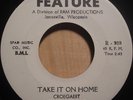 GARAGE the heard STOP IT GIRL / TAKE IT ON HOME feature PRIVATE fuzz NM