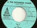 PJ and the Gentry 45 