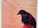 DEATH CAB FOR CUTIE Transatlanticism DOUBLE LP on Sonic Boom Records ORIGINAL