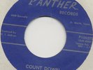 RARE FT WORTH TEXAS FUNK 45 Timmy Simms Count Down Through Changes Panther HEAR