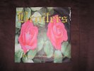 Broilers    Schenk mir eine Blume    7inch  Single