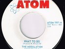 The Modulation Corporation-What To Do/Worms-Texas Garage/Psych-Atom 1001-Listen