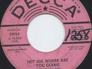 THE SURFARIS HEY JOE b/w SO GET OUT GARAGE PINK DECCA 45 RARE