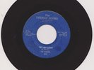 SEQUINS--TRY MY LOVE--DETROIT SOUND -503-- RARE NORTHERN SOUL