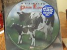 A TRIBUTE TO PINK FLOYD PICTURE DISC -RONNIE MONTROSE-EDGAR WINTER-TOMMY SHAW
