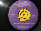 THE SPONTANEOUS GENERATION ON FEVRE UP IN MY MIND / PICTURES OF LILY PSYCH RARE