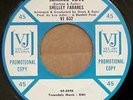 TEEN, SHELLEY FABARES, LOST SUMMER LOVE, PROMO VJ 632