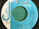 TONTO IRIE-IT A RING ORIG JA JAMMYS DIGI DEEJAY EX+ LISTEN