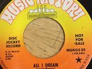 Estelle Levitt All I Dream I Like The Way It Feels 7