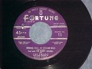 45--THE SWANS/PAUL LEWIS--OH WEDDING BELLS/LITTLE SENORITA--1954--Fortune 813