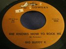Hear Rare Halloween Ghoul Rockabilly 45: Big Buddy K - MD Monster Doctor Lowery