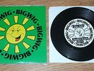 Bigwig S/T 7