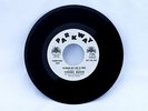 YVONNE BAKER - TO PROVE MY LOVE IS TRUE /YOU DIDN'T SAY A WORD - PARKWAY - PROMO