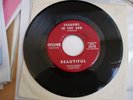 Beautiful (Soft Machine):Shadows In The Sun/Walter'sDream (Cyclops 71)kim FOWLEY