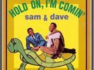 SAM and DAVE 