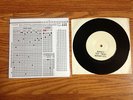 Ruiner Day Of The Dead Spilt Test Press 7