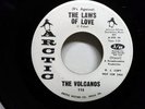 THE VOLCANOS 