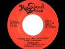 Modern Soul Boogie 45 POPSICLES These Are The Goodtimes/U.I. Remember Rosewood