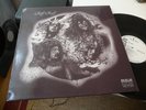 RIFF RAFF SAME LP IN 1973 MINT ARCHIV PROMO TOP RARITY