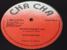 Peter Broggs Never Forget Jah Rare Killer Roots 12